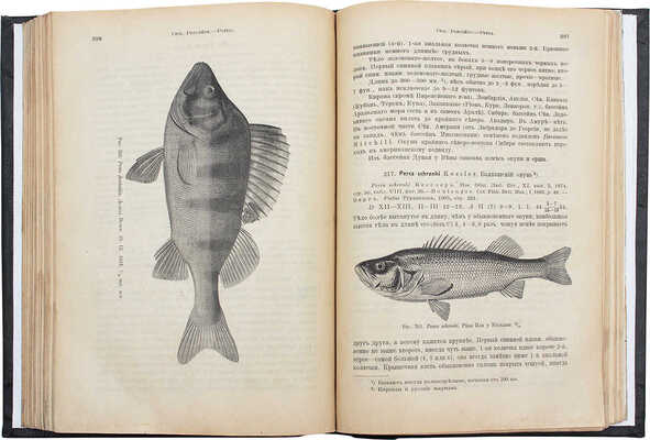 Берг Л.С. Рыбы пресных вод Российской империи / Департамент земледелия. М.: Тип. Т-ва Рябушинских, 1916.